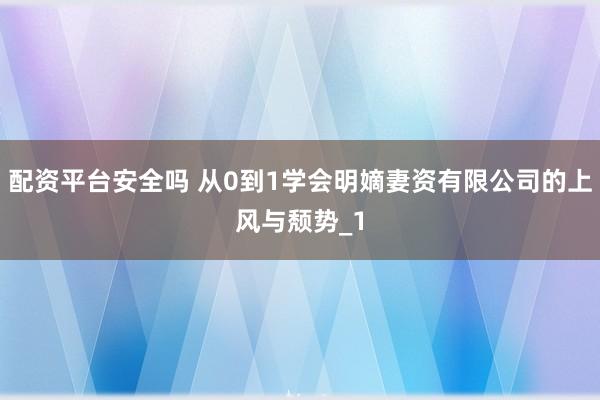 配资平台安全吗 从0到1学会明嫡妻资有限公司的上风与颓势_1