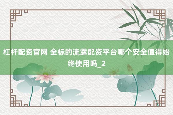 杠杆配资官网 全标的流露配资平台哪个安全值得始终使用吗_2